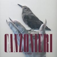 Canzonieri - All Creature in the group VINYL / Upcoming releases / Pop-Rock at Bengans Skivbutik AB (5629692)