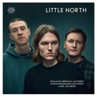 Little North - Little North in the group VINYL / Jazz at Bengans Skivbutik AB (5629958)