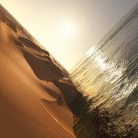 Pritchard Mark - Under The Sun in the group VINYL / Upcoming releases / Pop-Rock at Bengans Skivbutik AB (5630032)