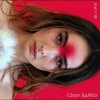 Ann Liu Cannon - Clever Rabbits in the group VINYL / Upcoming releases / Svensk Folkmusik at Bengans Skivbutik AB (5630085)