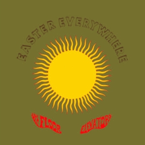 13Th Floor Elevators - Easter Everywhere in the group VINYL / Pop-Rock at Bengans Skivbutik AB (5631042)