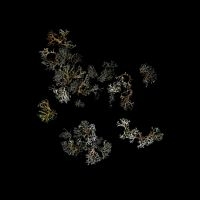 Deathcrash - Return in the group CD / Pop-Rock at Bengans Skivbutik AB (5631107)