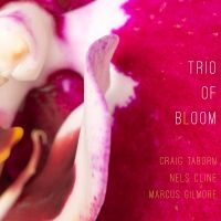 Trio Of Bloom - Trio Of Bloom in the group CD / Upcoming releases / Jazz at Bengans Skivbutik AB (5631206)