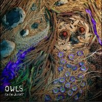 Owls - Rare Birds in the group CD / Upcoming releases / Pop-Rock at Bengans Skivbutik AB (5631355)