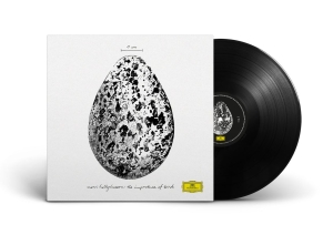 Snorri Hallgrímsson - The Importance Of Birds in the group VINYL / Upcoming releases / Klassiskt at Bengans Skivbutik AB (5632298)