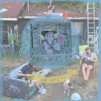 Wavers - Look What I Found in the group VINYL / Upcoming releases / Pop-Rock at Bengans Skivbutik AB (5632674)