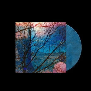 Idlewild - Idlewild in the group OUR PICKS / Friday Releases / 2025-10-03 at Bengans Skivbutik AB (5632741)