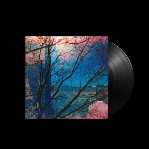 Idlewild - Idlewild in the group VINYL / Pop-Rock at Bengans Skivbutik AB (5632742)