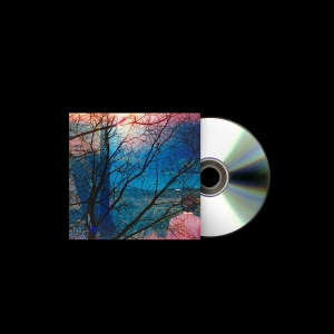 Idlewild - Idlewild in the group CD / Upcoming releases / Pop-Rock at Bengans Skivbutik AB (5632743)