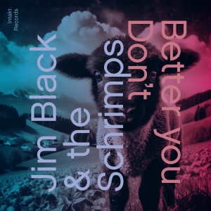 Jim Black & The Schrimps - Better You Don't in the group CD / Upcoming releases / Jazz at Bengans Skivbutik AB (5633186)