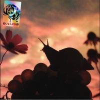 No Joy - Bugland in the group VINYL / Upcoming releases / Pop-Rock at Bengans Skivbutik AB (5633328)