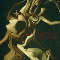 Die Spitz - Something To Consume in the group VINYL / Upcoming releases / Pop-Rock at Bengans Skivbutik AB (5633351)