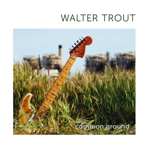 Walter Trout - Common Ground in the group OUR PICKS / Friday Releases / 2025-10-10 at Bengans Skivbutik AB (5633424)