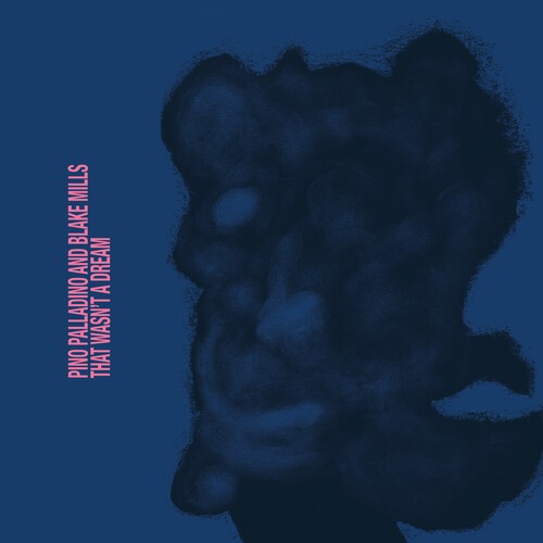 Pino Palladino Blake Mills - That Wasn't A Dream in the group OUR PICKS / Friday Releases / 2025-08-22 at Bengans Skivbutik AB (5633485)