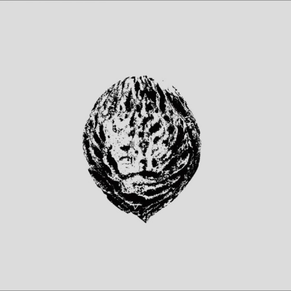 Black Lips - Bebop Armageddon (Detours & Offcuts in the group OUR PICKS / Friday Releases / 2025-09-19 at Bengans Skivbutik AB (5633666)
