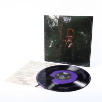 Castle Rat - Into The Realm Lp in the group VINYL / Upcoming releases / Hårdrock at Bengans Skivbutik AB (5633673)