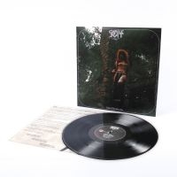 Castle Rat - Into The Realm Lp in the group VINYL / Upcoming releases / Hårdrock at Bengans Skivbutik AB (5633674)