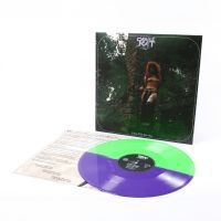 Castle Rat - Into The Realm Lp in the group VINYL / Upcoming releases / Hårdrock at Bengans Skivbutik AB (5633675)