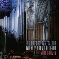Knut Reiersrud Og Iver Kleive - Vidunderligst Av Alt På Jord in the group VINYL / Upcoming releases / Pop-Rock at Bengans Skivbutik AB (5633680)