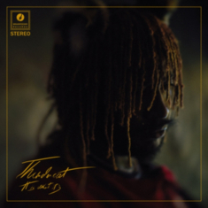 Thundercat - Split Seams/Vikt Hörn It Is What It Is (Red Vinyl) in the group VINYL / RnB-Soul at Bengans Skivbutik AB (5634165)