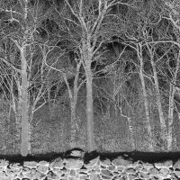 Pile - Sunshine And Balance Beams in the group OUR PICKS / Friday Releases / 2025-08-29 at Bengans Skivbutik AB (5634410)