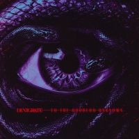Denigrate - To The Goddess Unknown in the group OUR PICKS / Friday Releases / 2025-08-08 at Bengans Skivbutik AB (5635034)