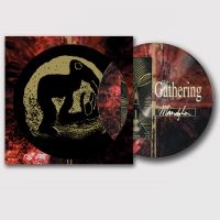 Gathering The - Mandylion (Picture Vinyl Lp) in the group VINYL / Upcoming releases / Hårdrock at Bengans Skivbutik AB (5635321)