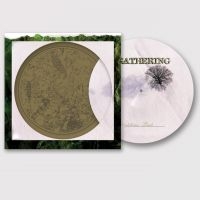 Gathering The - Nighttime Birds (Picture Vinyl Lp) in the group VINYL / Upcoming releases / Hårdrock at Bengans Skivbutik AB (5635322)