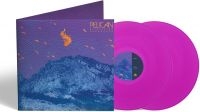 Pelican - Flickering Resonance (2 Lp Neon Pur in the group VINYL / Upcoming releases / Pop-Rock at Bengans Skivbutik AB (5635513)