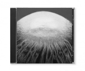 Vasas Flora Och Fauna - Berg I Dalen in the group CD / Upcoming releases / Pop-Rock at Bengans Skivbutik AB (5635805)