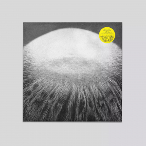Vasas Flora Och Fauna - Berg I Dalen - Limited Edition (2Lp) in the group VINYL / Upcoming releases / Pop-Rock at Bengans Skivbutik AB (5635807)