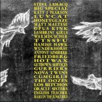 Various Artists - A Hideous Collective in the group VINYL / Upcoming releases / Pop-Rock at Bengans Skivbutik AB (5635981)