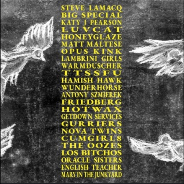 Various Artists - A Hideous Collective in the group VINYL / Bestsellers at Bengans Skivbutik AB (5635981)