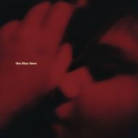 Lilac Time The - Looking For A Day In The Night in the group CD / Upcoming releases / World Music at Bengans Skivbutik AB (5636914)