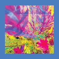 The Reds Pinks And Purples - The Past Is A Garden I Never Fed in the group VINYL / Upcoming releases / Pop-Rock at Bengans Skivbutik AB (5636951)