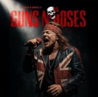 Guns N Roses - The Rock N' Roots Of Guns N Roses in the group VINYL / Upcoming releases / Hårdrock at Bengans Skivbutik AB (5636974)