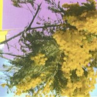 Four Tet - Into Dust (Still Falling) in the group OUR PICKS / Friday Releases / 2025-09-05 at Bengans Skivbutik AB (5637192)