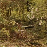 Luke Schneider - For Dancing In Quiet Light in the group VINYL / Upcoming releases / Pop-Rock at Bengans Skivbutik AB (5637194)