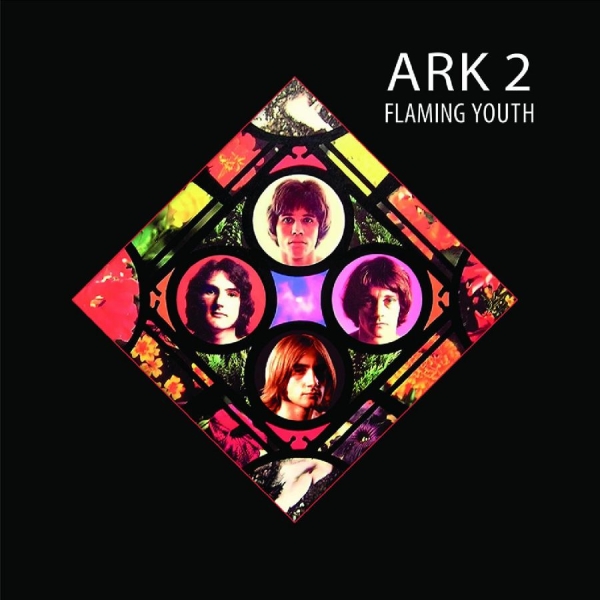 Flaming Youth - Ark 2 in the group VINYL / Bestsellers at Bengans Skivbutik AB (5637227)