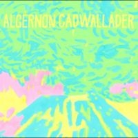 Algernon Cadwallader - Trying Not To Have A Thought in the group CD / Upcoming releases / Pop-Rock at Bengans Skivbutik AB (5639620)