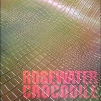 Cousin Tony's - Brand New Firebird - Rosewater Croc in the group VINYL / Pop-Rock at Bengans Skivbutik AB (5639631)