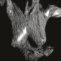 Oceansize - Self-Preserved While The Bodies Flo in the group VINYL / Upcoming releases / Pop-Rock at Bengans Skivbutik AB (5639899)