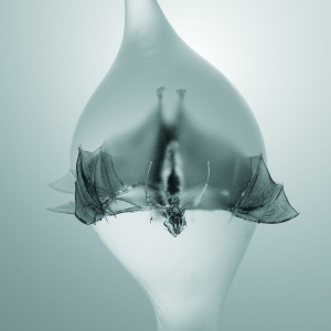 Unprocessed - Angel in the group CD / Upcoming releases / Hårdrock at Bengans Skivbutik AB (5639934)