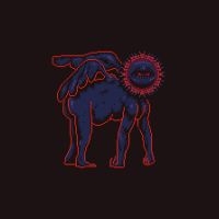 Sanam - Sametou Sawtan in the group OUR PICKS / Friday Releases / 2025-09-19 at Bengans Skivbutik AB (5640156)