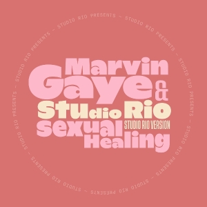 Marvin Gaye & Studio Rio - Sexual Healing in the group VINYL / New releases /  at Bengans Skivbutik AB (5640370)