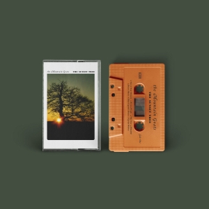 The Mountain Goats - The Sunset Tree in the group Kommande / Pop-Rock at Bengans Skivbutik AB (5640539)