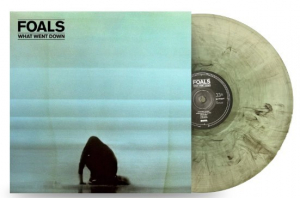 Foals - What Went Down (10Th Anniversary) in the group VINYL / Upcoming releases / Pop-Rock at Bengans Skivbutik AB (5640565)