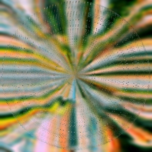 Hoffmann Nils - Everlight in the group VINYL / Upcoming releases / Pop-Rock at Bengans Skivbutik AB (5640698)