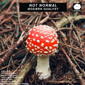 Not Normal - Modærn Qualitet in the group OUR PICKS / Friday Releases / 2025-11-07 at Bengans Skivbutik AB (5640792)