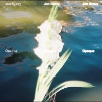 Jon Gravy - Opaque in the group VINYL / Upcoming releases / Pop-Rock at Bengans Skivbutik AB (5640925)